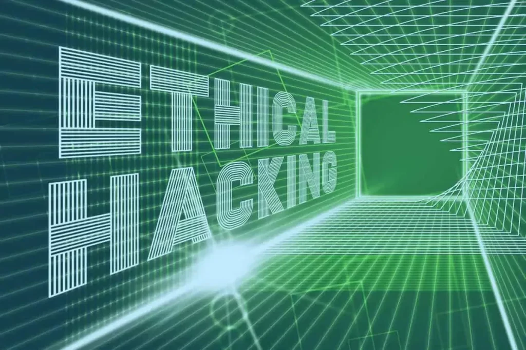Professional ethical hacking body of knowledge