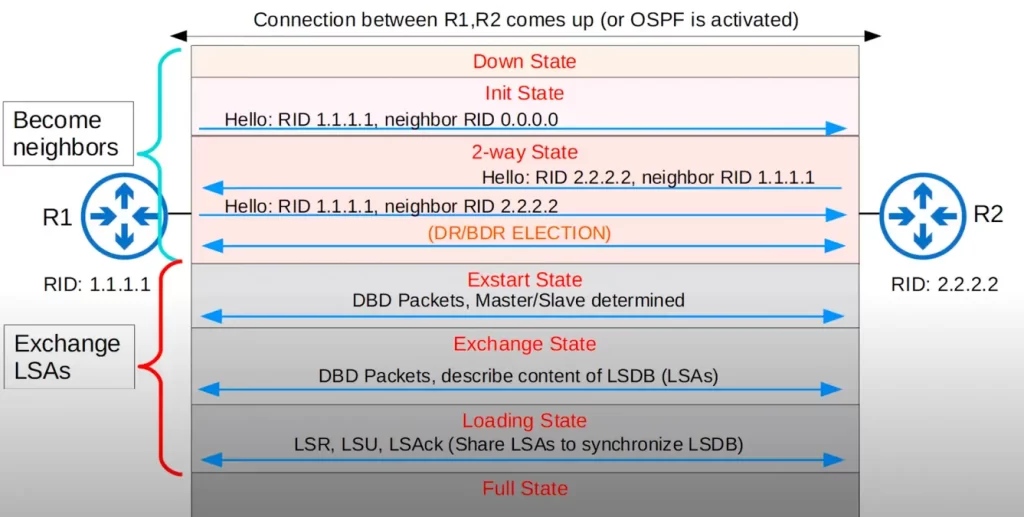 OSPF-neighbors-summary