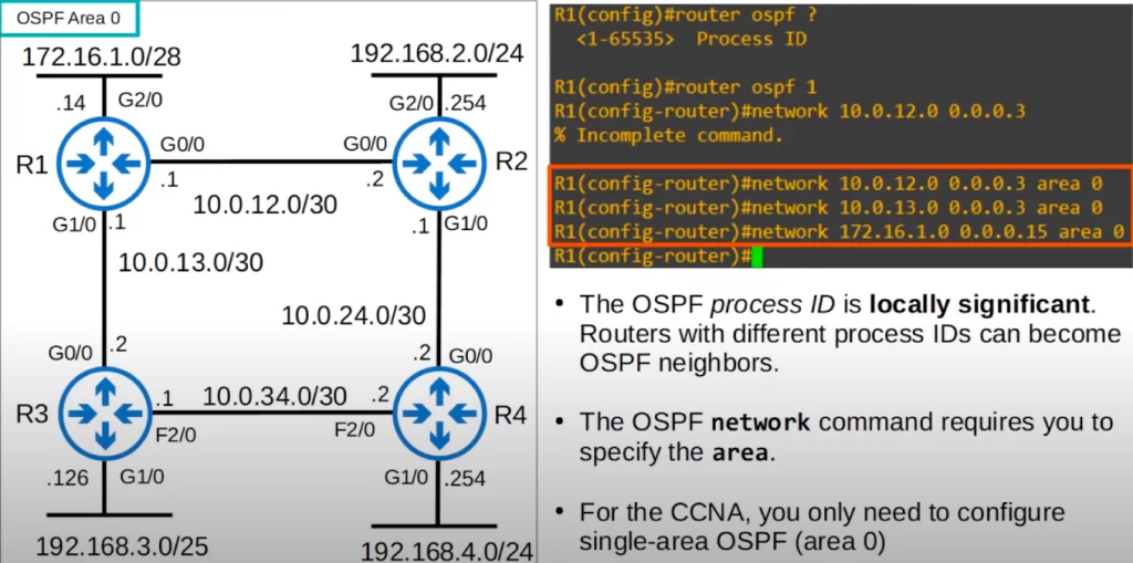 router-ospf-cli