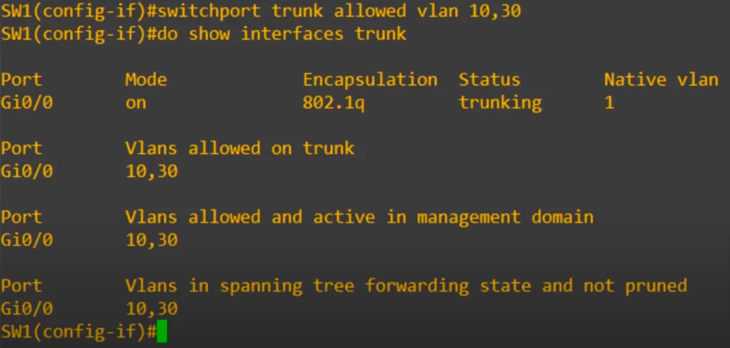 switchport-trunk-vlan30