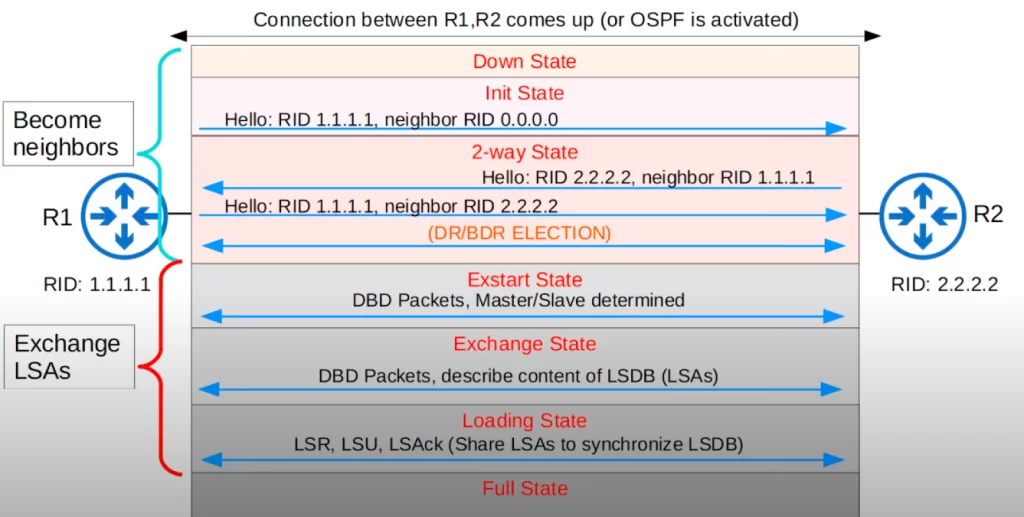 How-routers-OSPF-neighbors-summary
